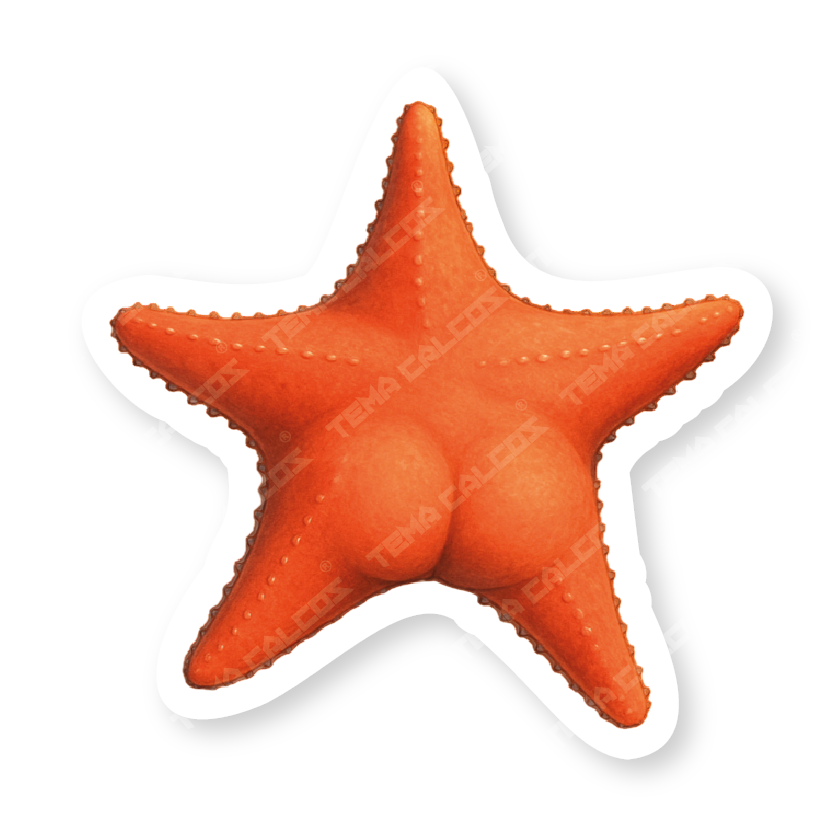 ESTRELLA CULONA (NUEVO)