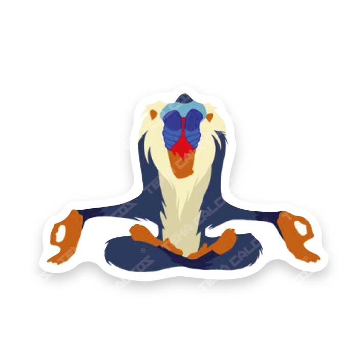 Rafiki Rey Leon DISNEY
