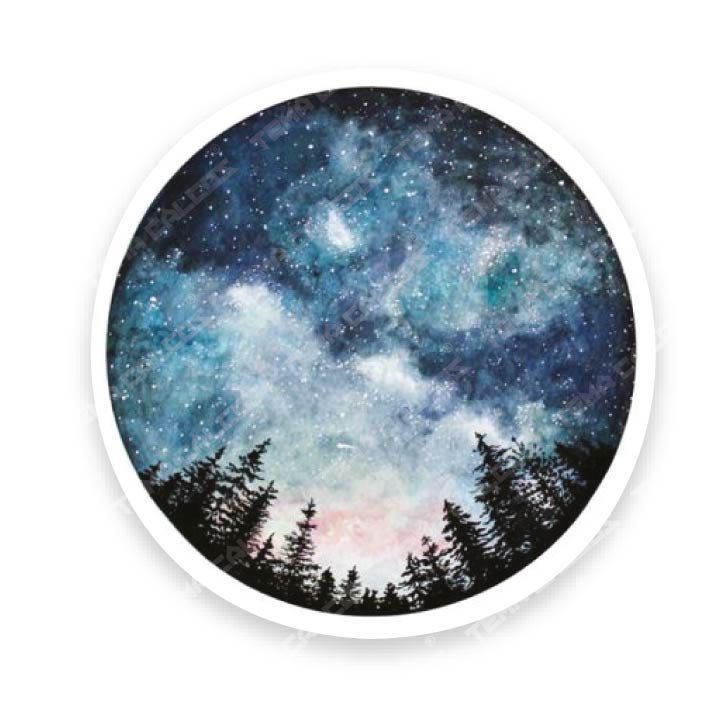 Circulo cielo Bosque