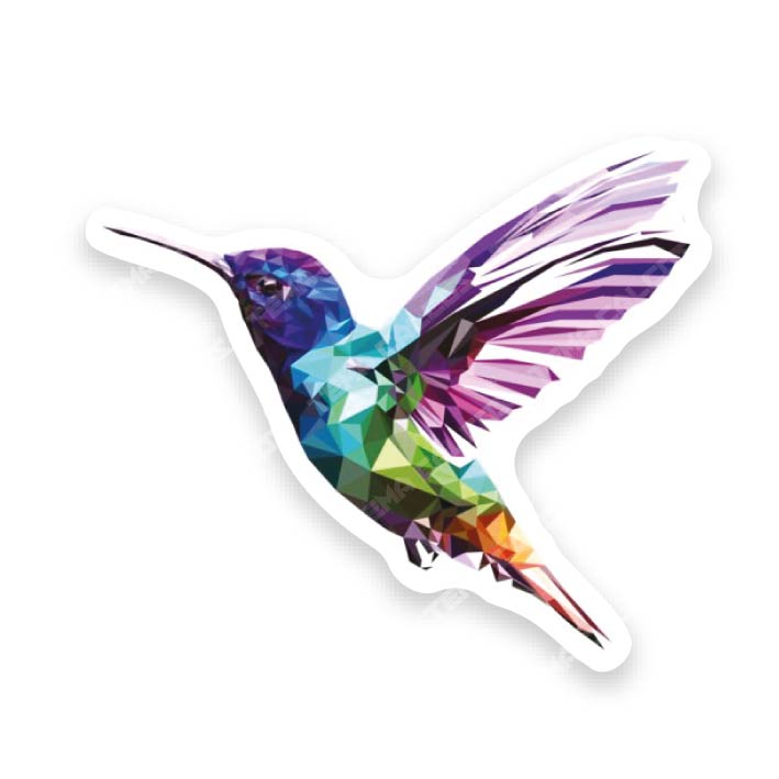 Colibrí 2