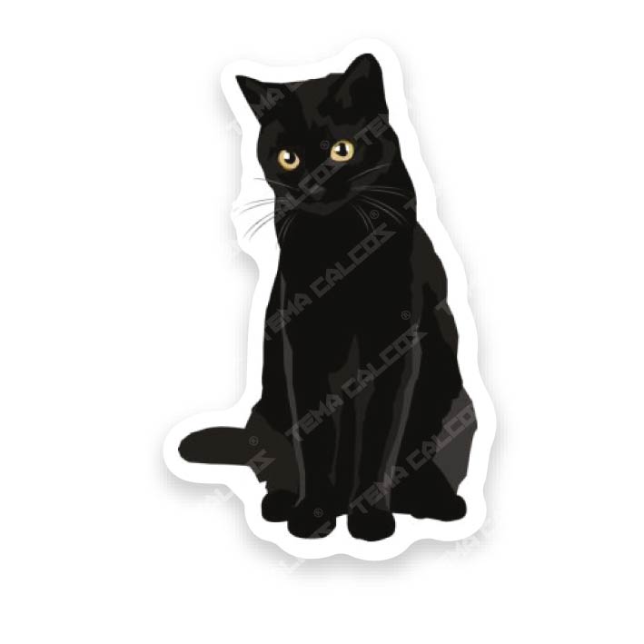 Gato Negro
