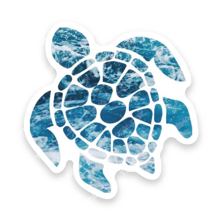 Tortuga Celeste
