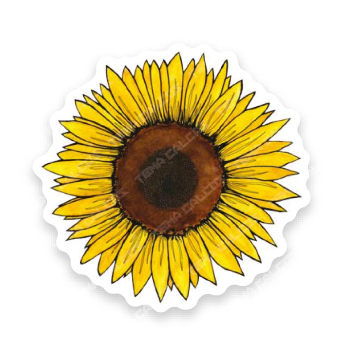 Girasol