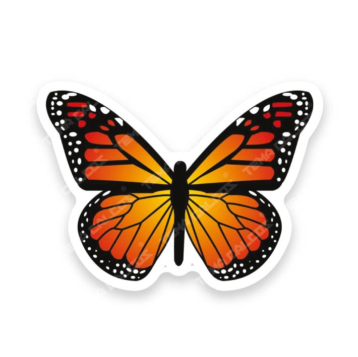 Mariposa Naranja