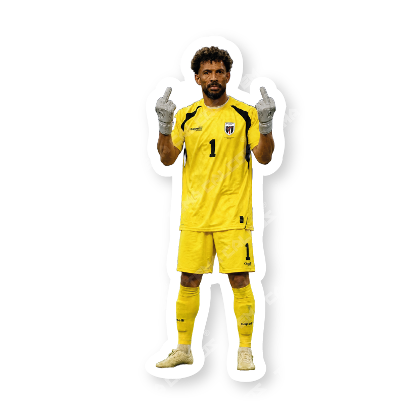 VOZINHA FACK YOU (NUEVO)